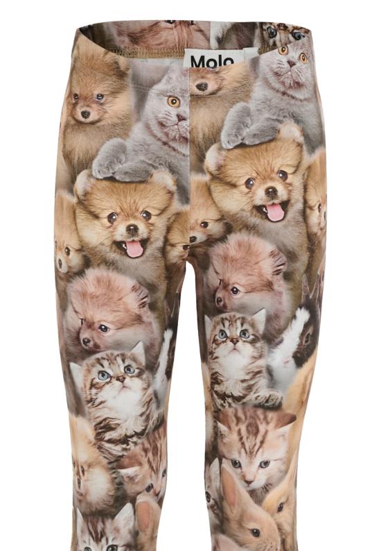 25FW [키즈] 몰로 레깅스 2W25F204 9377 BROWN - MOLO