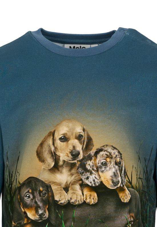 25FW [키즈] 몰로 티셔츠 6W25A404 9679 BLUE - MOLO