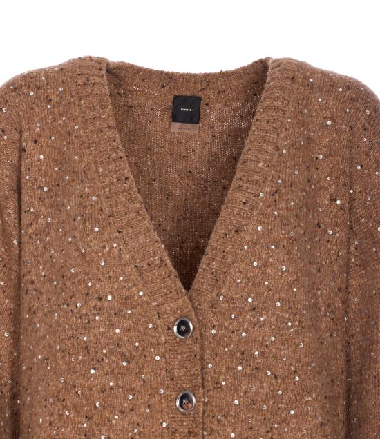 25FW 핑코 가디건 105739 A2U4C3Z Brown - PINKO