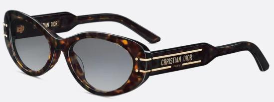 25FW 디올 선글라스 DSGTB8UXR 24A1 HVNGREY