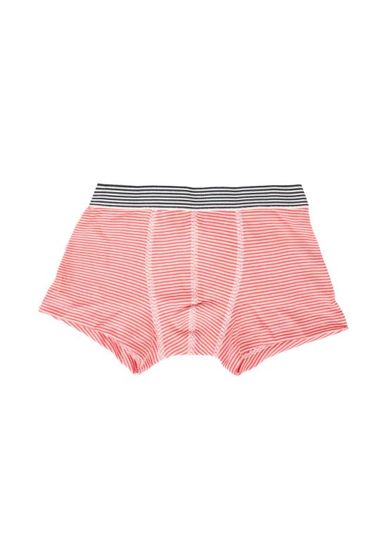 25FW [키즈] 쁘띠바또 언더웨어 A0DAH 00 MULTICOLOR - PETIT BATEAU