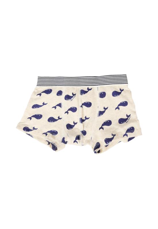 25FW [키즈] 쁘띠바또 언더웨어 A0DAH 00 MULTICOLOR - PETIT BATEAU