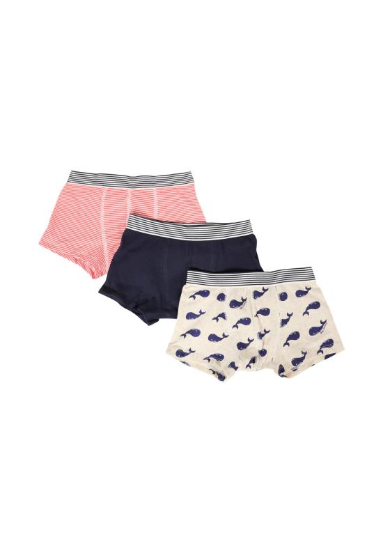 25FW [키즈] 쁘띠바또 언더웨어 A0DAH 00 MULTICOLOR