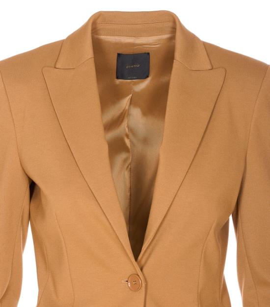 25FW 핑코 자켓 104903A24CL08 BROWN - PINKO