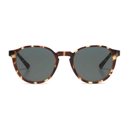  코모노 안경 리암 선글라스 토토이즈