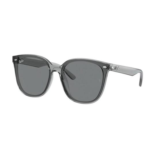  레이밴 선글라스 RB4423D 645087 Gray