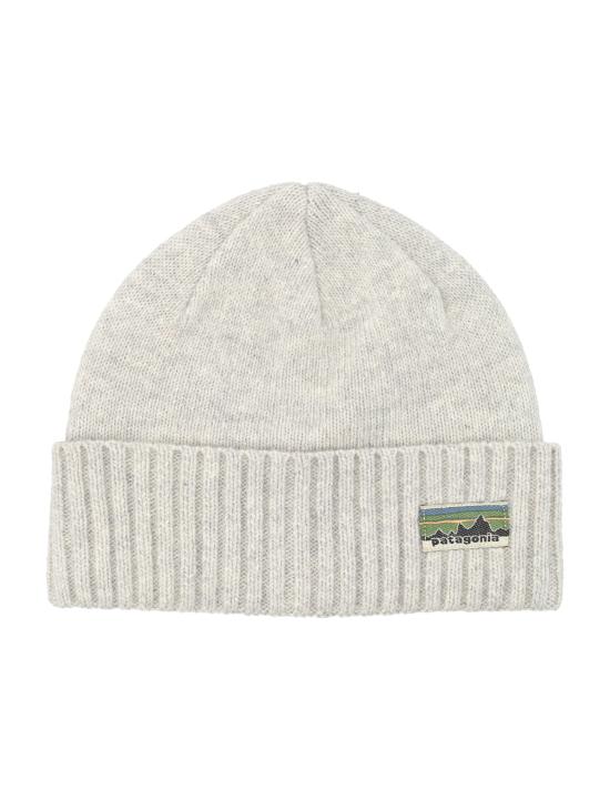 25FW 파타고니아 비니 29206 OGLC GREY