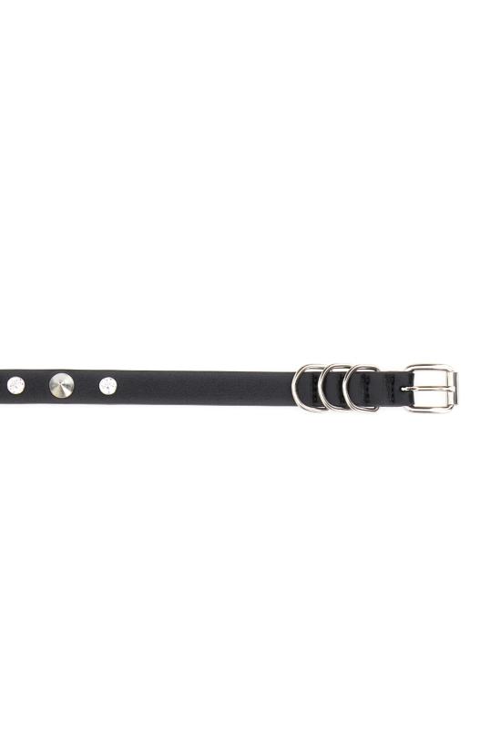  알레산드라리치 벨트 FABA3006 807 BLACK - ALESSANDRA RICH