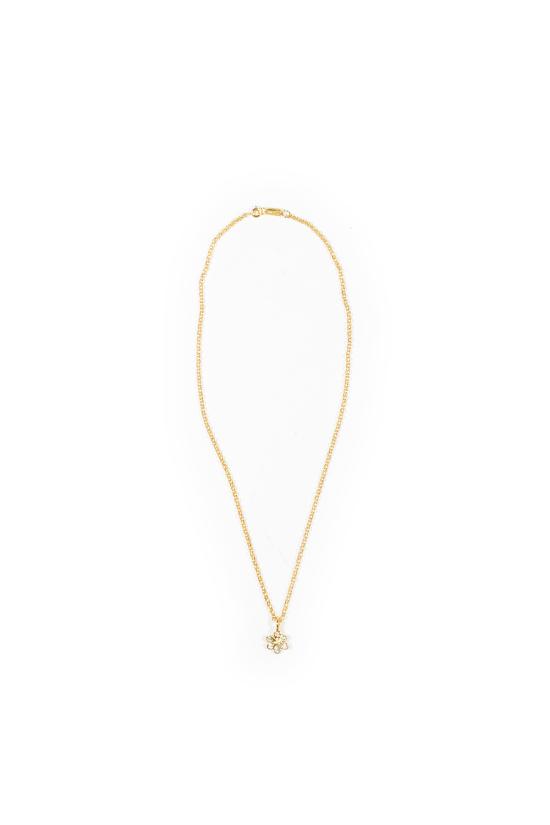 25FW NDO LAB 네크리스 DAISY GOLD Golden