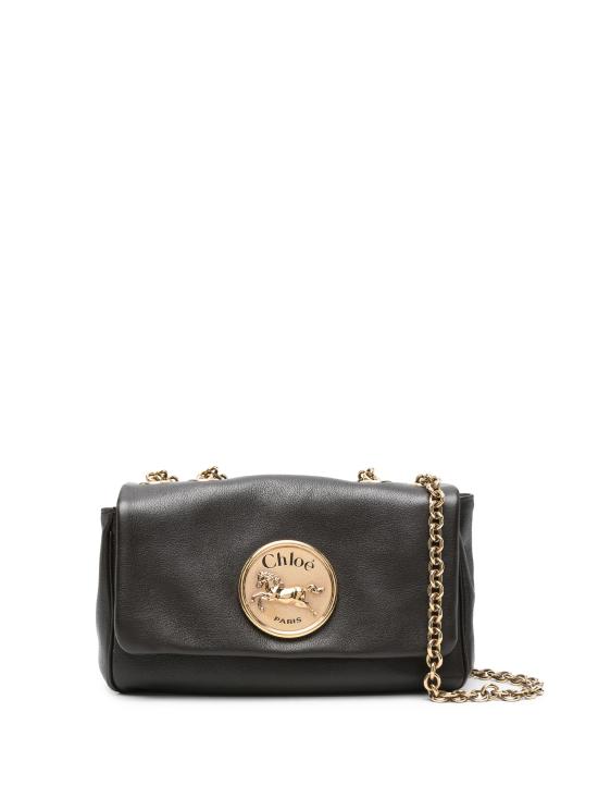 25FW 끌로에 숄더백 CH25AS585 P7524W Brown