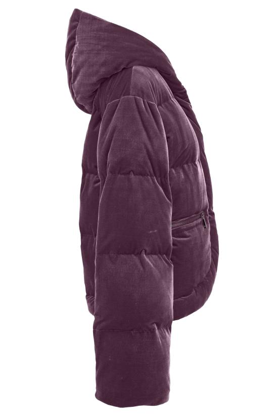 25FW 베르사체 숏패딩 79HAUD02 CJ01D317 PURPLE - VERSACE