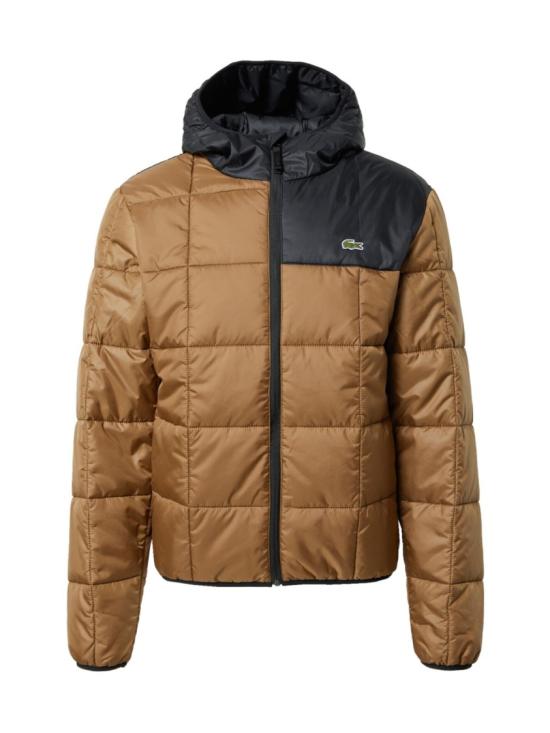  라코스테 숏패딩 BH166600QIN Brown