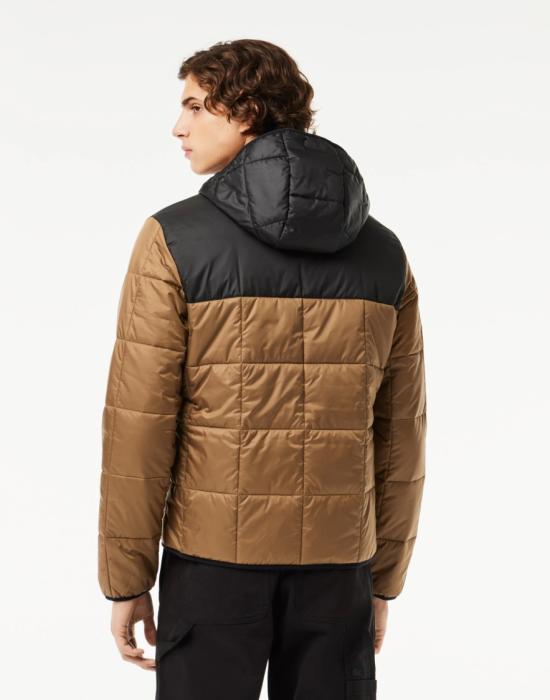  라코스테 숏패딩 BH166600QIN Brown - LACOSTE
