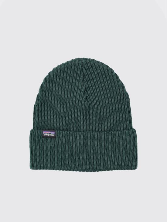 25FW 파타고니아 피셔맨 롤드 비니  29105 CASG Green