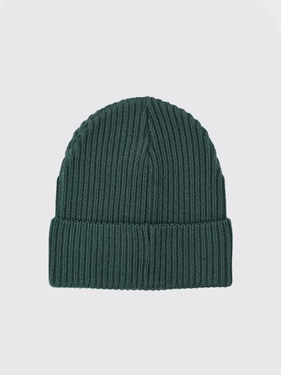 25FW 파타고니아 피셔맨 롤드 비니  29105 CASG Green - PATAGONIA