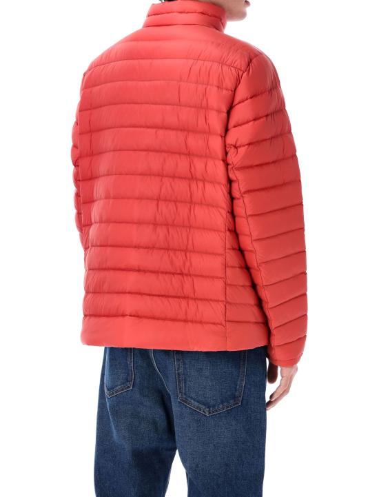 25FW 파타고니아 다운 스웨터 84675 AMRE AMANITA RED - PATAGONIA