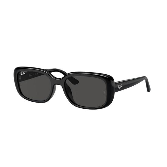  레이밴 선글라스 RB4421D 667787 Black