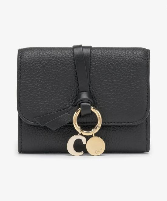 25FW 끌로에 지갑 CHC21WP945F57001 Black