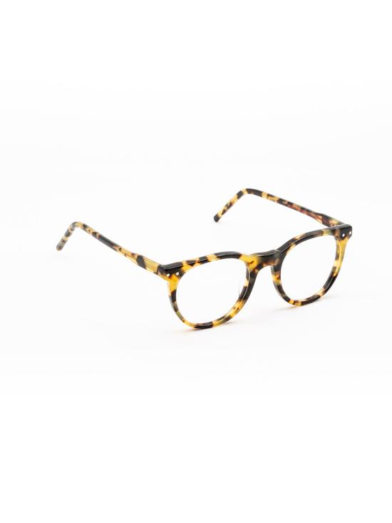 25FW 몰리리모 안경 MD59 228 MULTICOLOUR