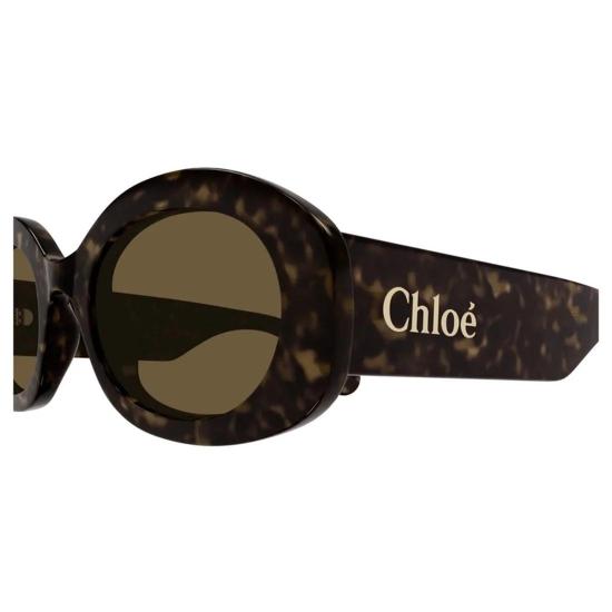  끌로에 선글라스 CH0258S 002 Havana - CHLOE