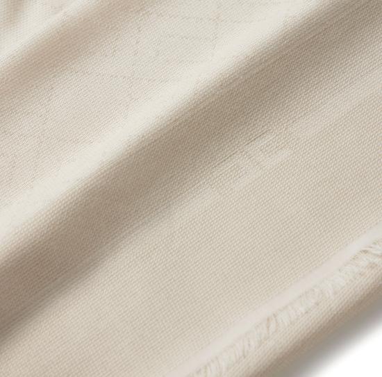 25FW 엘리자베타프랜치 머플러/스카프 SC12F56E2 DZ9 Milk - ELISABETTA FRANCHI