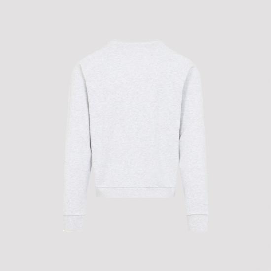 25FW 셀린느 후드 티셔츠 RY0GW670Q GCA7 PALE GREY MULTICO - CELINE