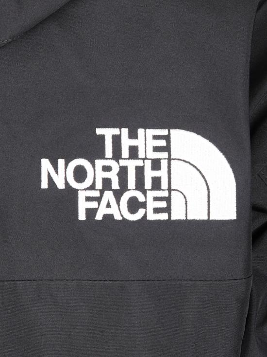 25FW 노스페이스 자켓 NF0A831M Black - NORTH FACE