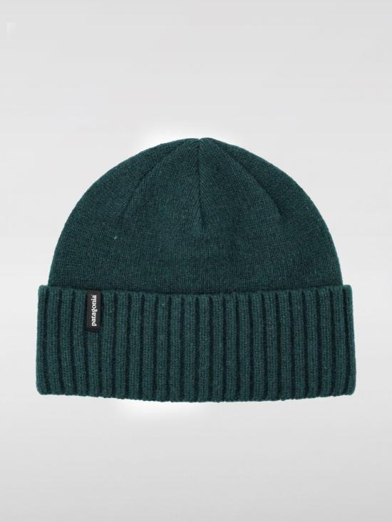 25FW 파타고니아 29206 CASG Forest Green