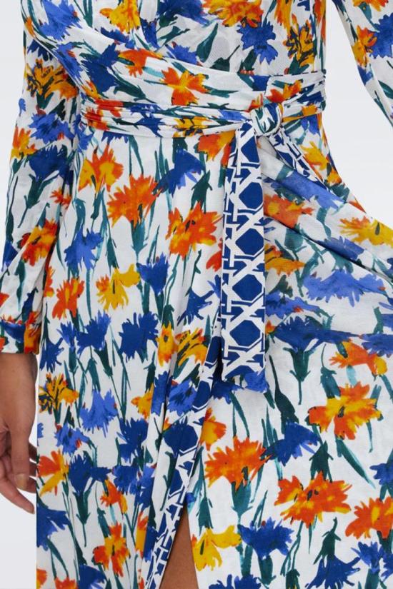  다이앤 본 퍼스텐버그 롱 원피스 DVFDW1S006DIVCM Multicolor - DIANE VON FURSTENBERG