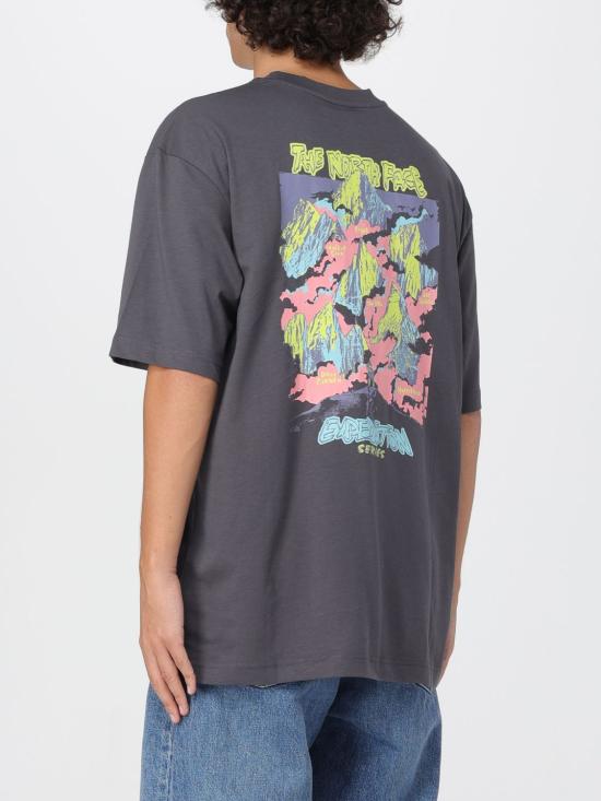 25FW 노스페이스 반팔 티셔츠 NF0A8E3C RHI1 Charcoal - NORTH FACE