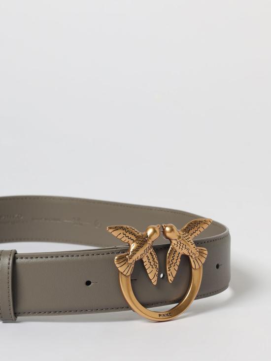 25FW 핑코 레귤러 벨트 100120A0F1 K33Q Grey - PINKO