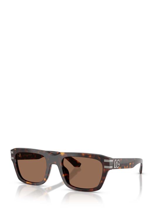 26FW 돌체앤가바나 선글라스 DG4496 502 73 HAVANA - DOLCE & GABBANA