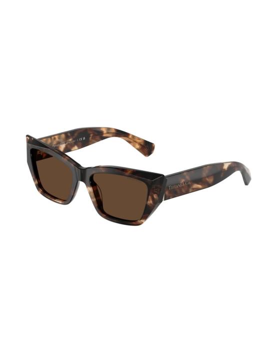  티파니앤코 선글라스 0TF4230 84213G Brown