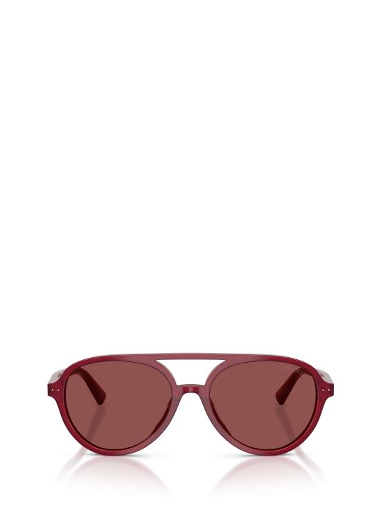 26FW 지미추 선글라스 JC5055U 508175 OPALINE CRANBERRY