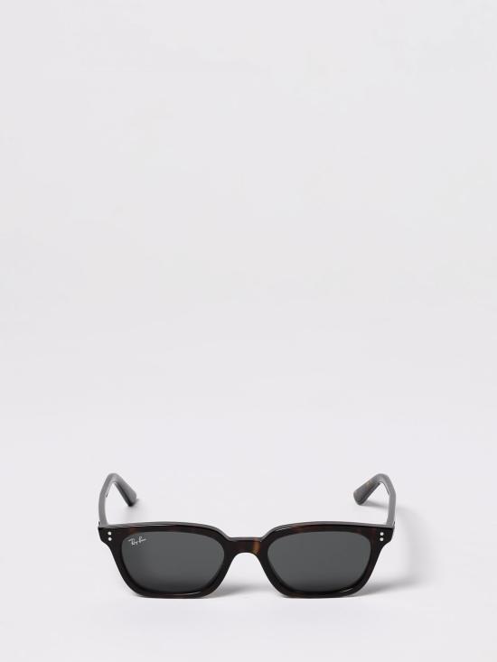 25FW 레이밴 선글라스 4456 135987 Brown - RAY BAN