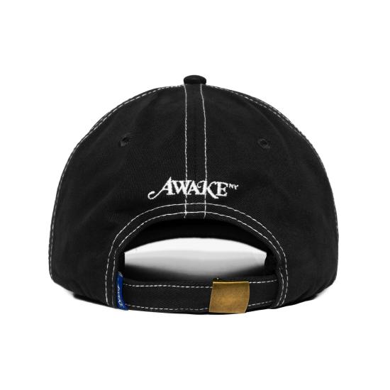 25FW 어웨이크 NY 볼캡 AWK FW25 HT005 BLACK - AWAKE NY