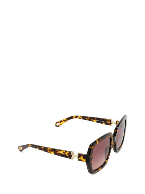 26FW 끌로에 선글라스 CH0301S 002 HAVANA - CHLOE