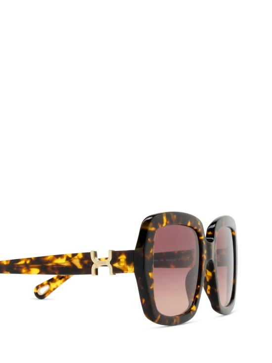 26FW 끌로에 선글라스 CH0301S 002 HAVANA - CHLOE