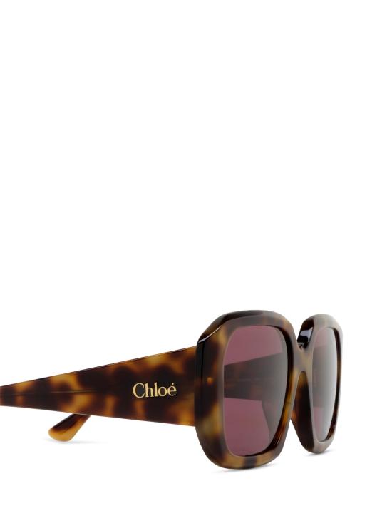 26FW 끌로에 선글라스 CH0300S 002 HAVANA - CHLOE