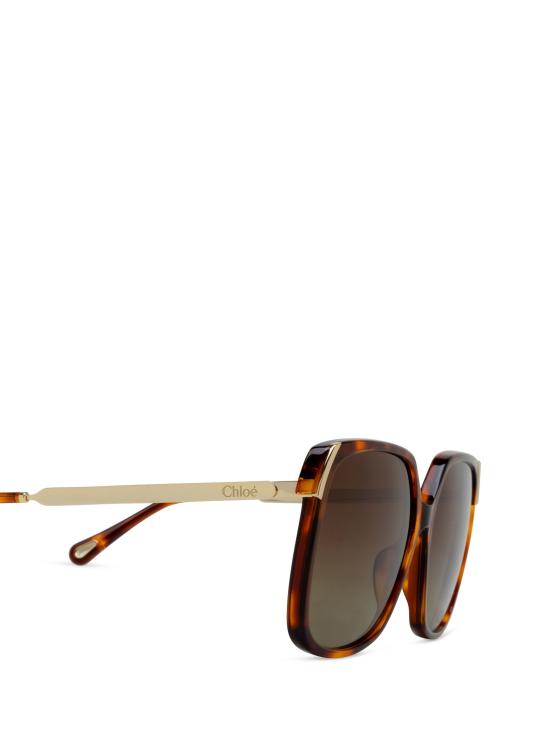 26FW 끌로에 선글라스 CH0286S 002 HAVANA - CHLOE