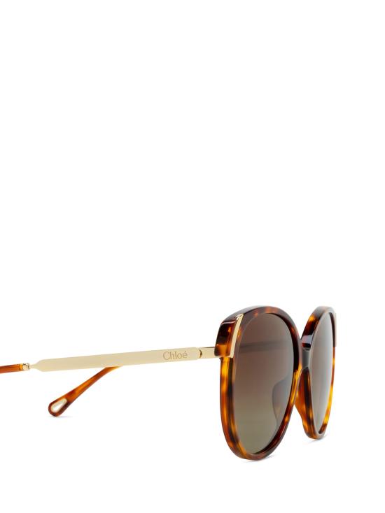 26FW 끌로에 선글라스 CH0285S 002 HAVANA - CHLOE