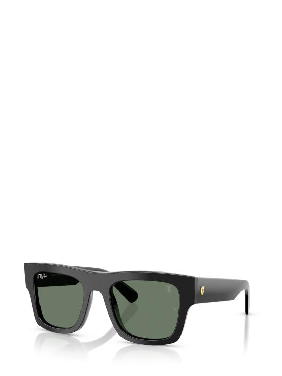 26FW 레이밴 선글라스 RB2217M F60171 BLACK - RAY BAN