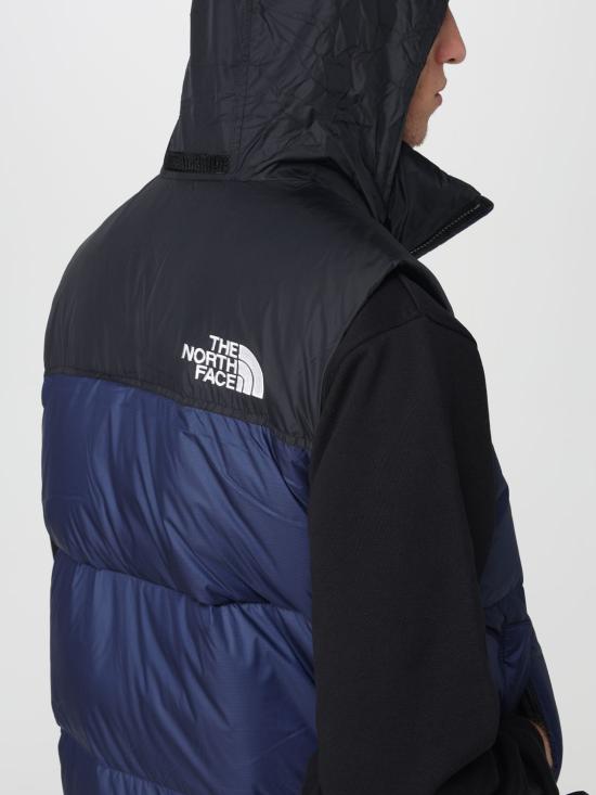 25FW 노스페이스 베스트 NF0A3JQQ GOB1 Blue - NORTH FACE