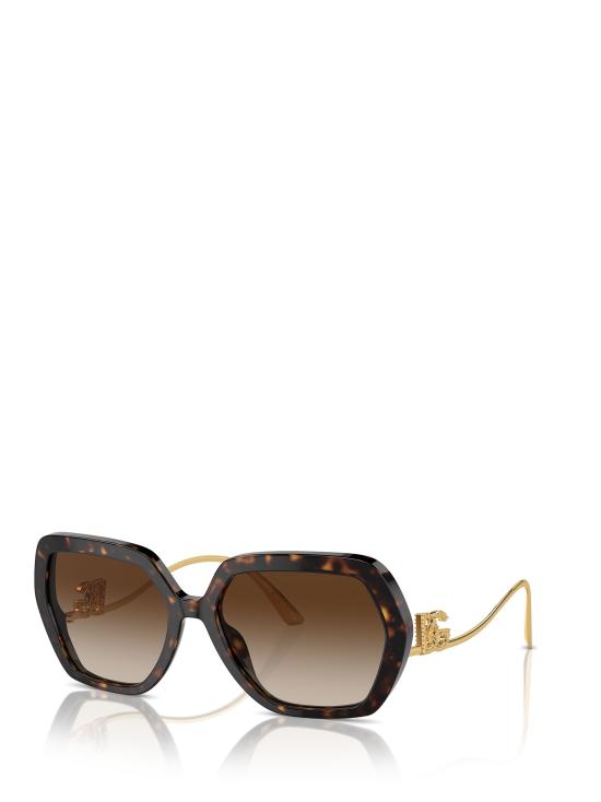 25FW 돌체앤가바나 선글라스 DG4468B 502 13 HAVANA - DOLCE & GABBANA