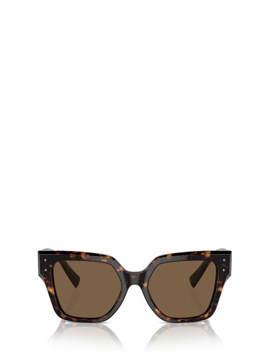 25FW 돌체앤가바나 선글라스 DG4471 502 73 HAVANA