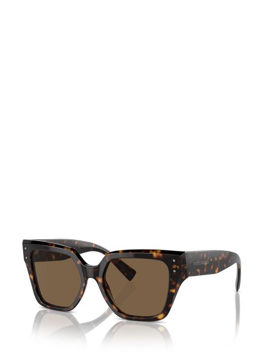 25FW 돌체앤가바나 선글라스 DG4471 502 73 HAVANA - DOLCE & GABBANA