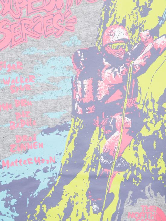 25FW 노스페이스 후드 티셔츠 NF0A8E3FDYX1 TNF FLIGHTGREYHTR GRIGIO - NORTH FACE