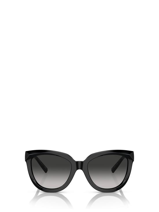 25FW 티파니앤코 선글라스 TF4215 80013C BLACK