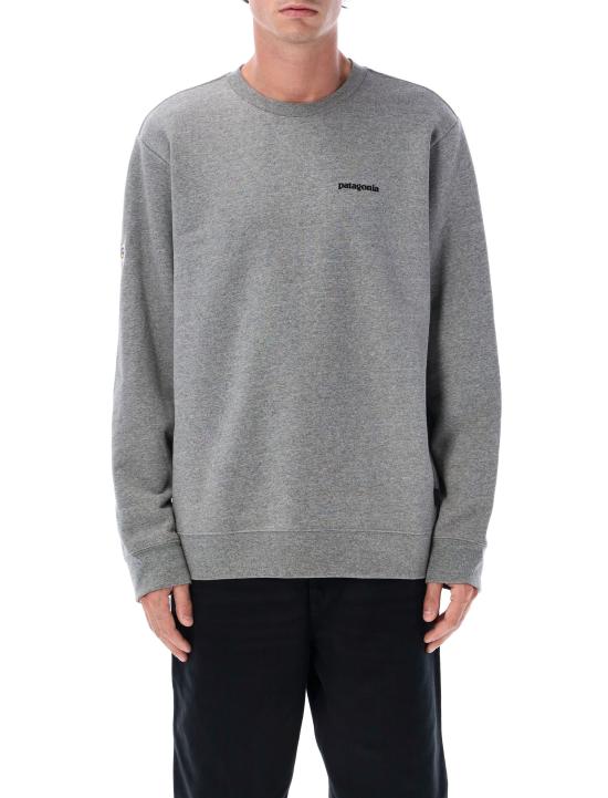 25FW 파타고니아 긴팔 티셔츠 39667 GLH Grigio