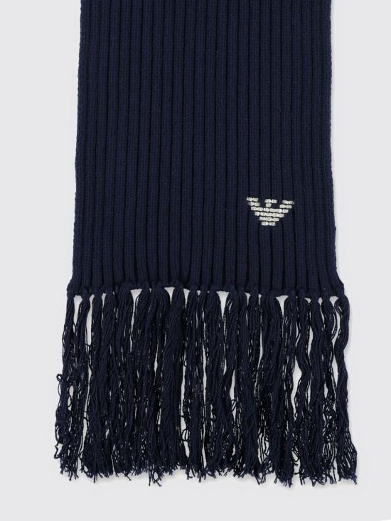 25FW 엠포리오 아르마니 머플러/스카프 EM003651AF17000 UB102 Blue - EMPORIO ARMANI